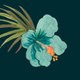 Party_Hawaii_blue