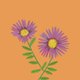 Party_orange_purple_flower