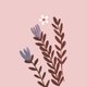 Baby_earth floral