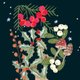 Christmas_Botanisch_Mushroom