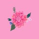 Baby_floral bright