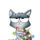 CSZ_Grumpy Cat