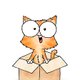 CSZ_Kitten in verhuisdoos