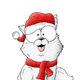 CSZ_Poolvos met kerstmuts