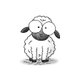 CSZ_Schaap