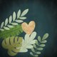 Jungle bladeren Hartje
