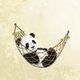 Geboren - panda hangmat groen