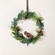 Kerstkrans natuurlijk vogel K