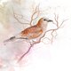 Sluitzegel tekening vogel op tak