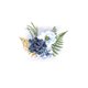 Jubileumrosesbluewit