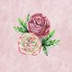 Jubileum ranonkel roze