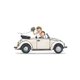 Sluitzegel Auto kever wit