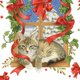 kerstkat in vensterbank