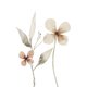 Sluitzegel droogbloem naturel