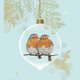 Kerst -2 roodborstjes in kerstbal