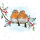 Kerst - roodborst-hulst