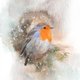 Kerst - Roodborst dennentakken