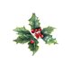 Kerst hulst wit
