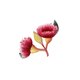 Kerst bloem euqalyptus
