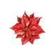 Kerst kerststerrood