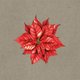 Kerst kerststercraft