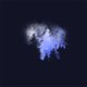 SZ winters bos blauw