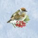 Kerst musje rode bes