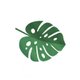 Monstera