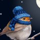 Nieuwjaar - roodborst volle maan