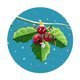 Holly Berries