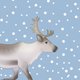 Rendier kerst 2023
