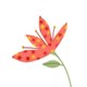 roodgestipte bloem