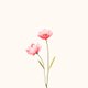 Wilde rozen