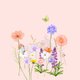 Uitnodiging veldbloemen