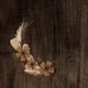 Houtlook met droogbloemen