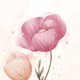 Waterverf bloemen