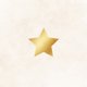 Vintage gouden ster