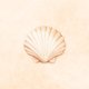 Schelp zand waterverf