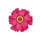 Sluitzegel bloem fuccia