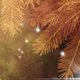 Sluitzegel dennentakjes goud sparkle