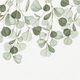 Sluitzegel eucalyptus groen