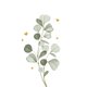Sluitzegel eucalyptus hartjes goud