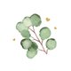 Sluitzegel eucalyptus hartjes goud