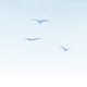 Sluitzegel drie vogels in de lucht