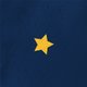 sluitzegel-kerst-ster-goud-blauw