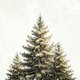 Sluitzegel kerstbomen natuurlijk sneeuw