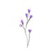 Sluitzegel paars bloemetjes lavendel