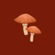 Sluitzegel paddestoelen koper donker