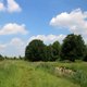sluitzegel-rouw-landschap