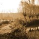 sluitzegel-rouw-landschap-sepia